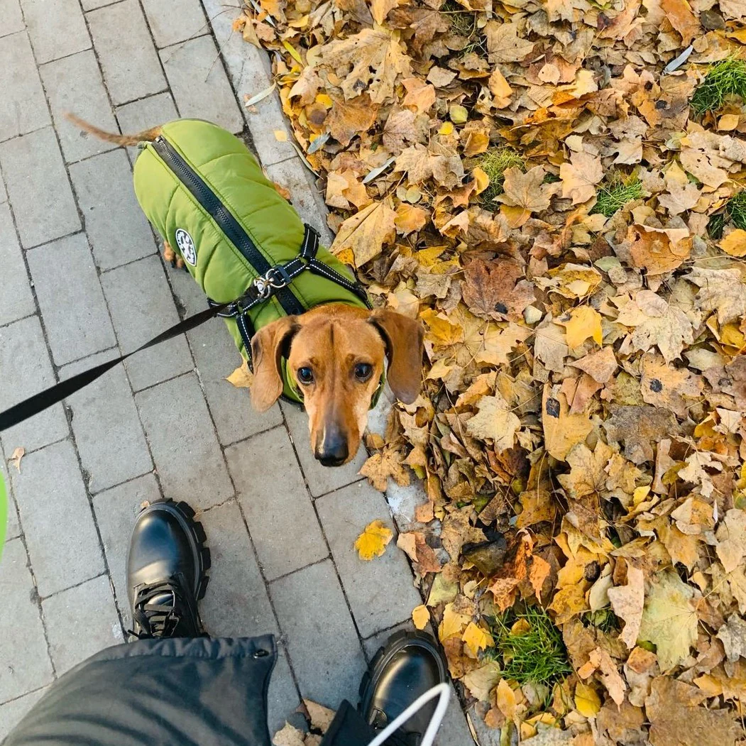 Rule the Park in Style